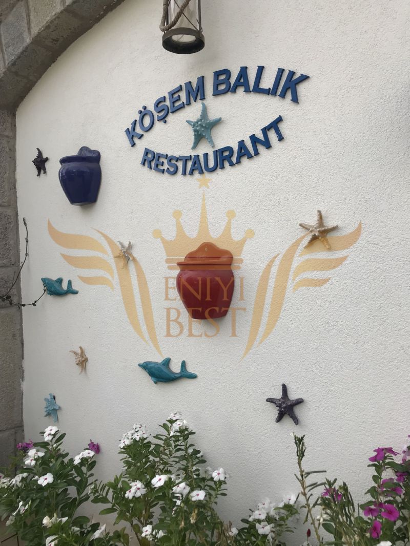  Dış Mekan,