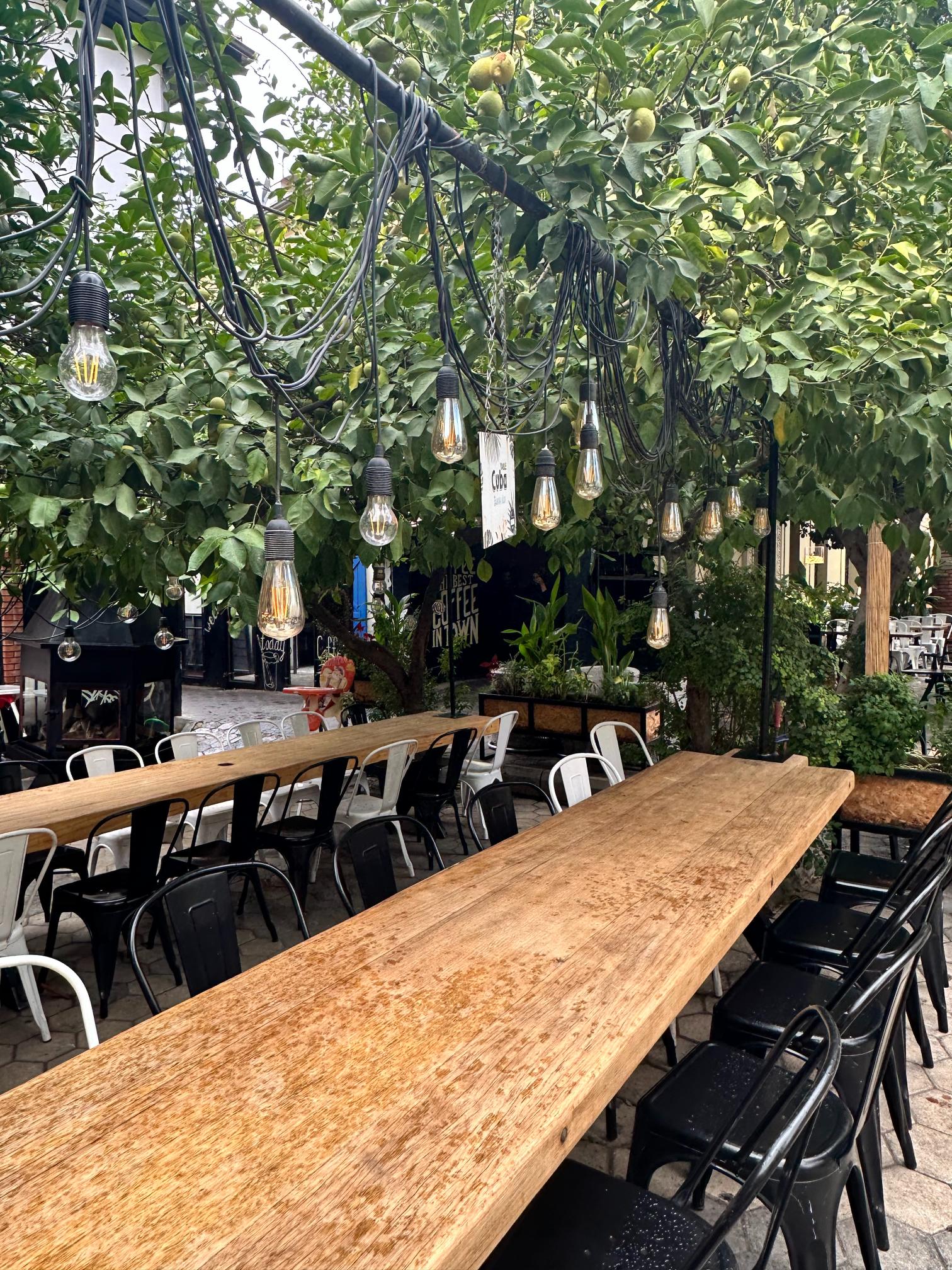  Dış Mekan, Dekorasyon,